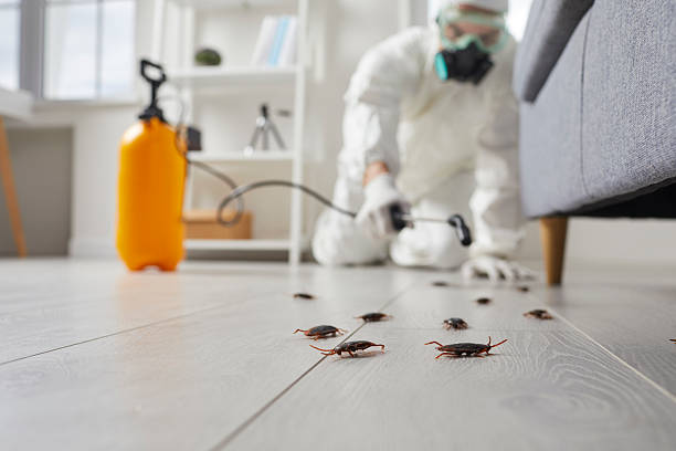 Post-Treatment Bed Bug Interceptor Monitoring in Seneca