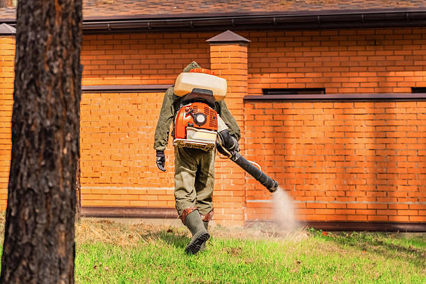 Bed Bug Clearance Verification and Documentation in Seneca